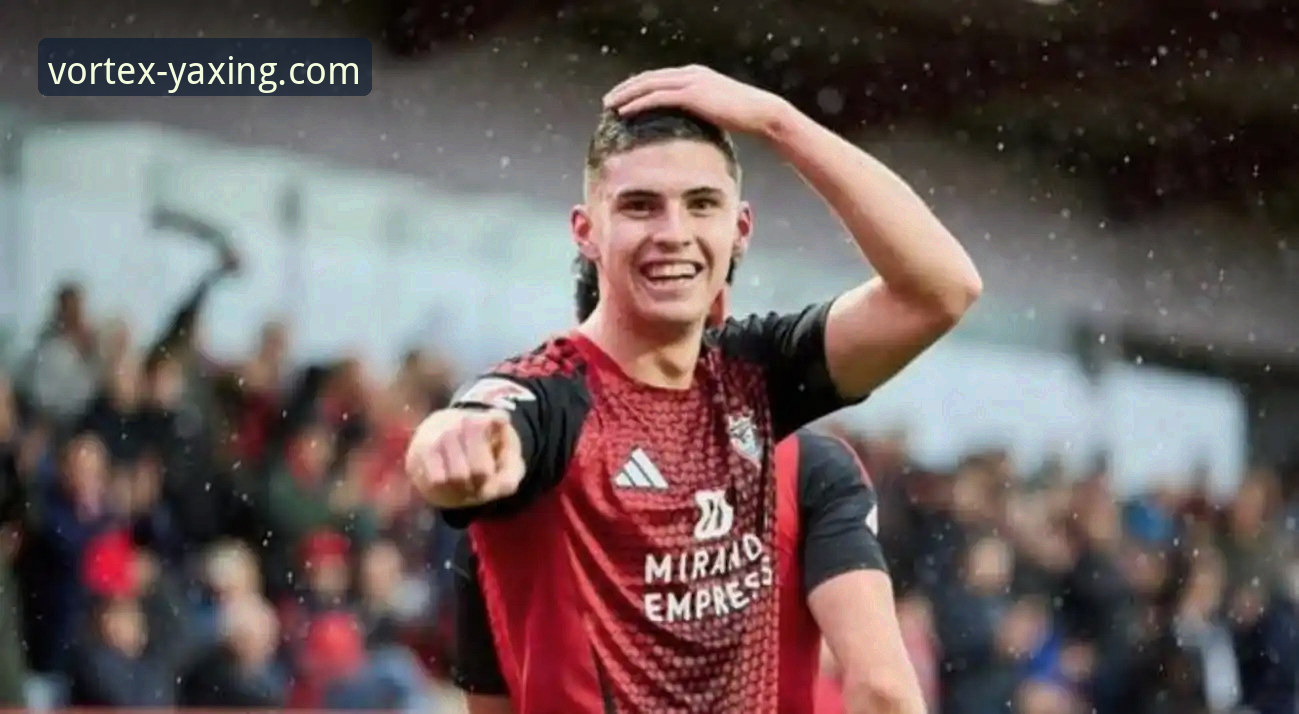 从帕尼切利重伤事件，学习体育赛事分析的必备知识